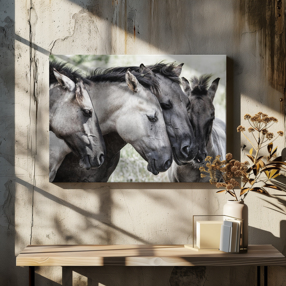 Vier Konikpaarden | Canvas