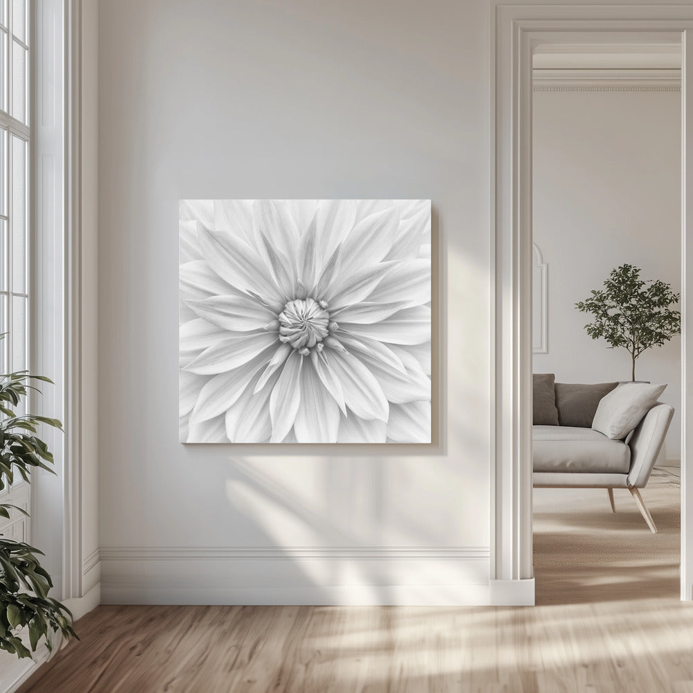 Hamari goud in monochroom | Canvas