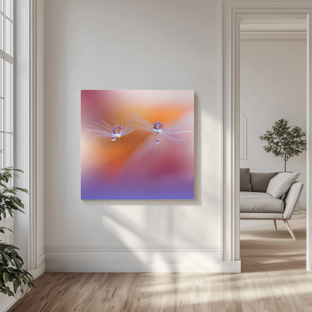 Twee werelden | Canvas