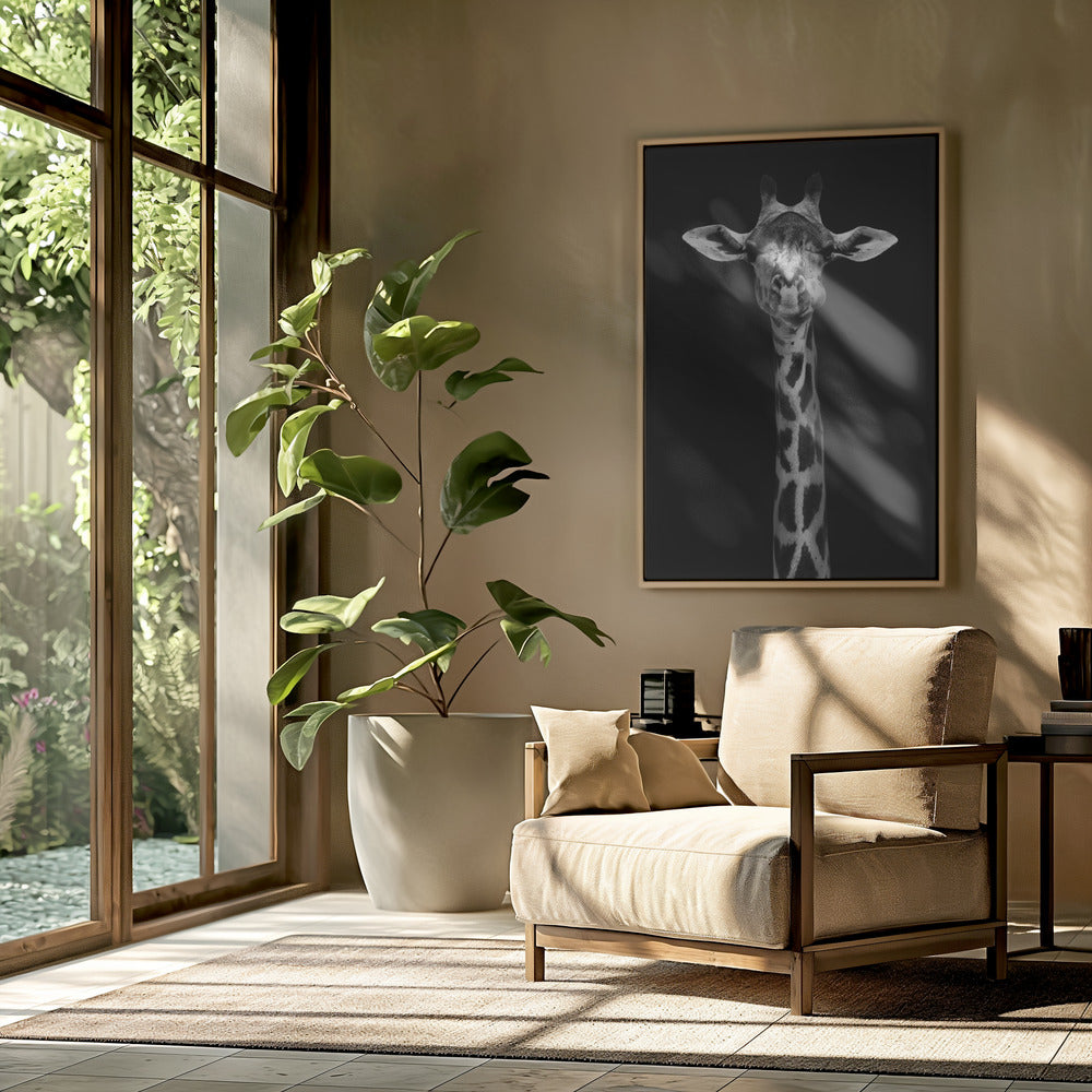 Girafportret | Poster