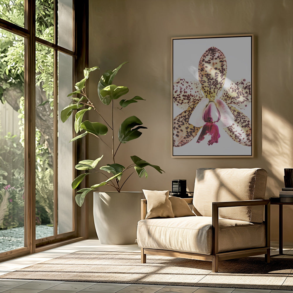 Gevlekte orchideeënuitbarsting | Poster