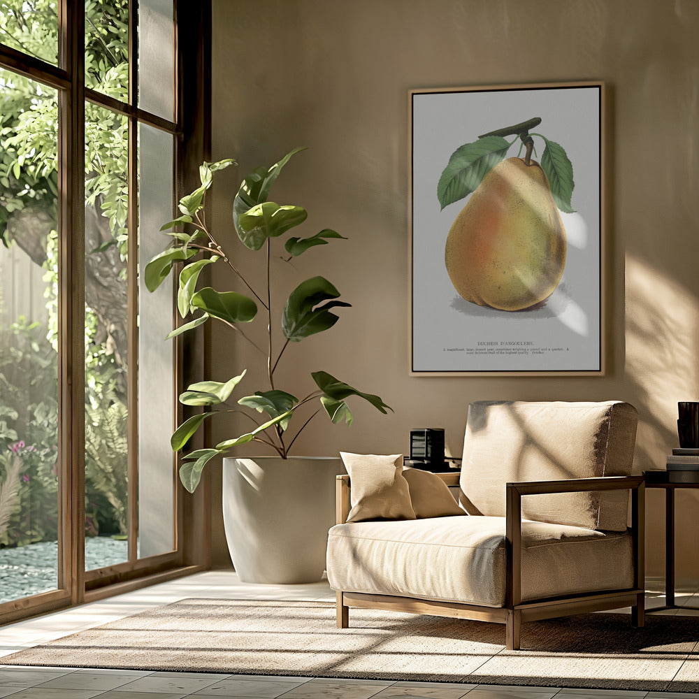 Duchess D'angouleme Pear Lithograph | Poster
