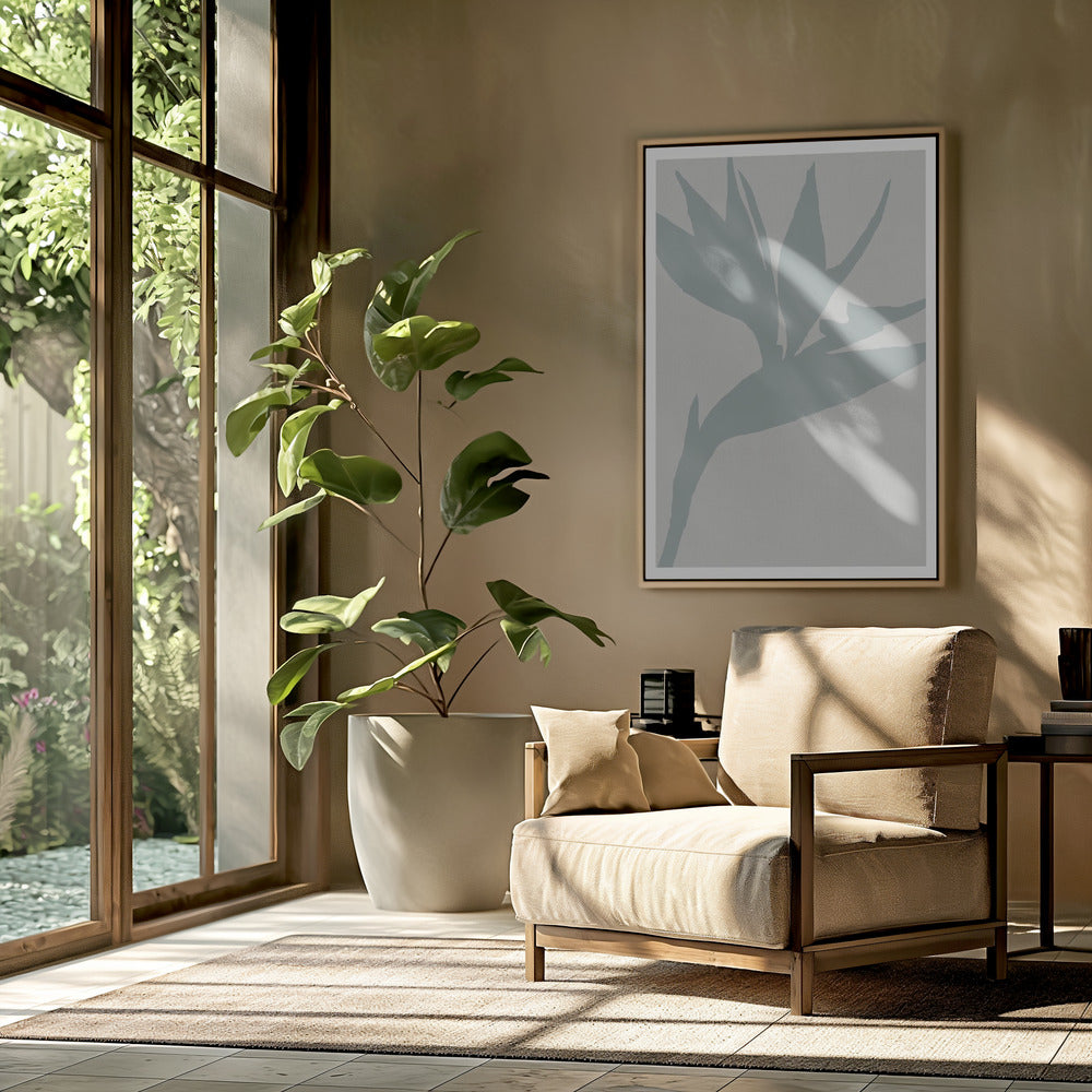 Paradijsvogel | Poster