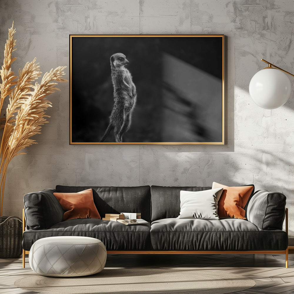 De stokstaartje | Poster