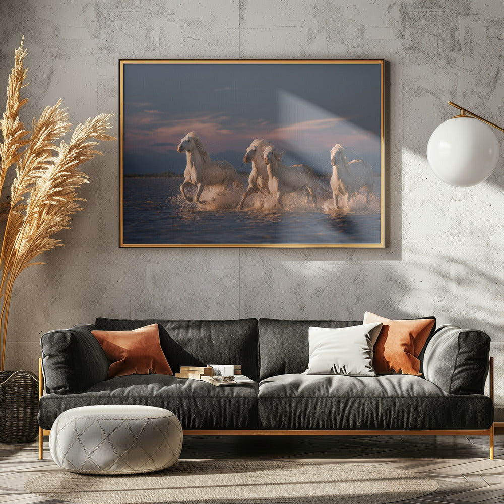 Engelen van de Camargue | Poster