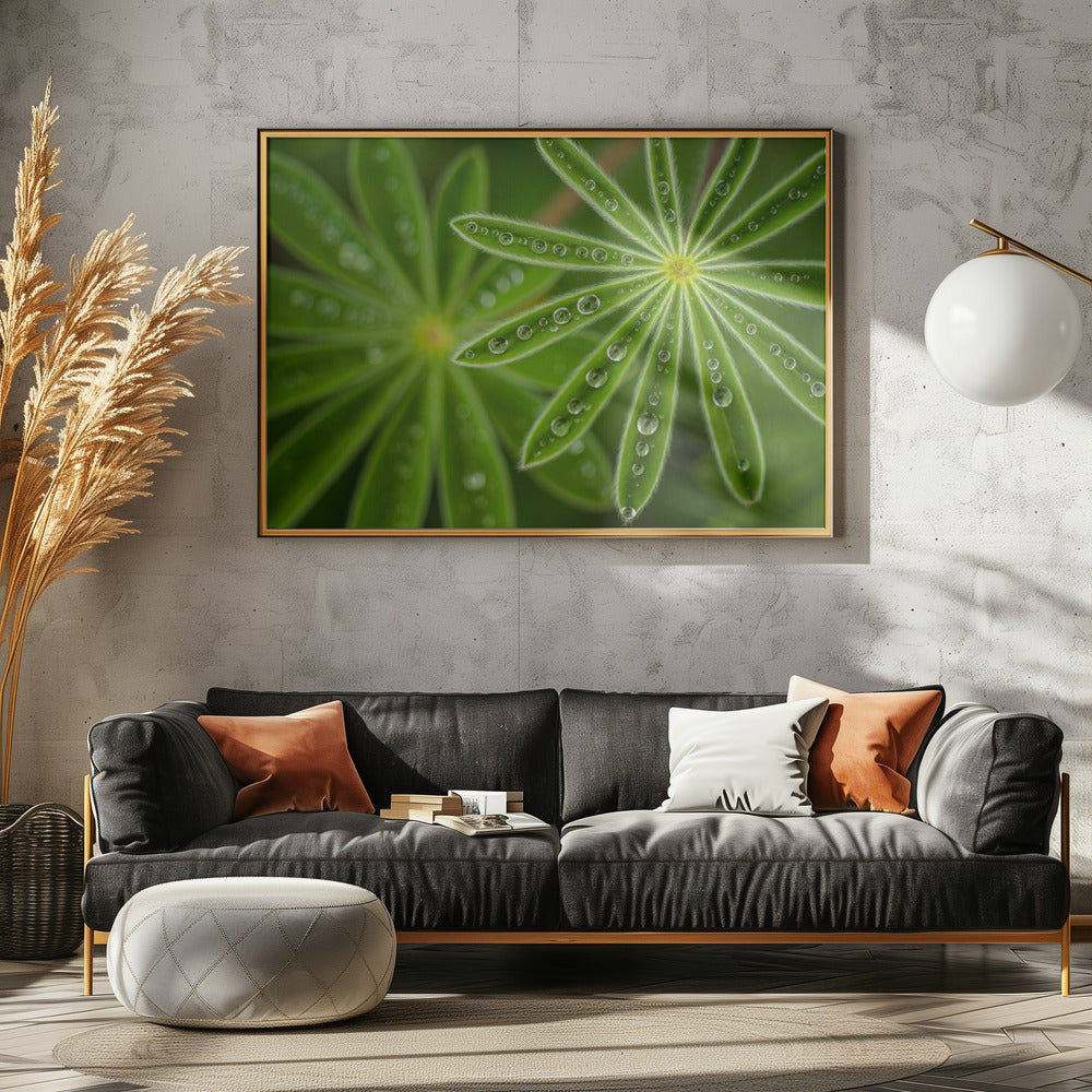 Parelwitte Lupine | Canvas