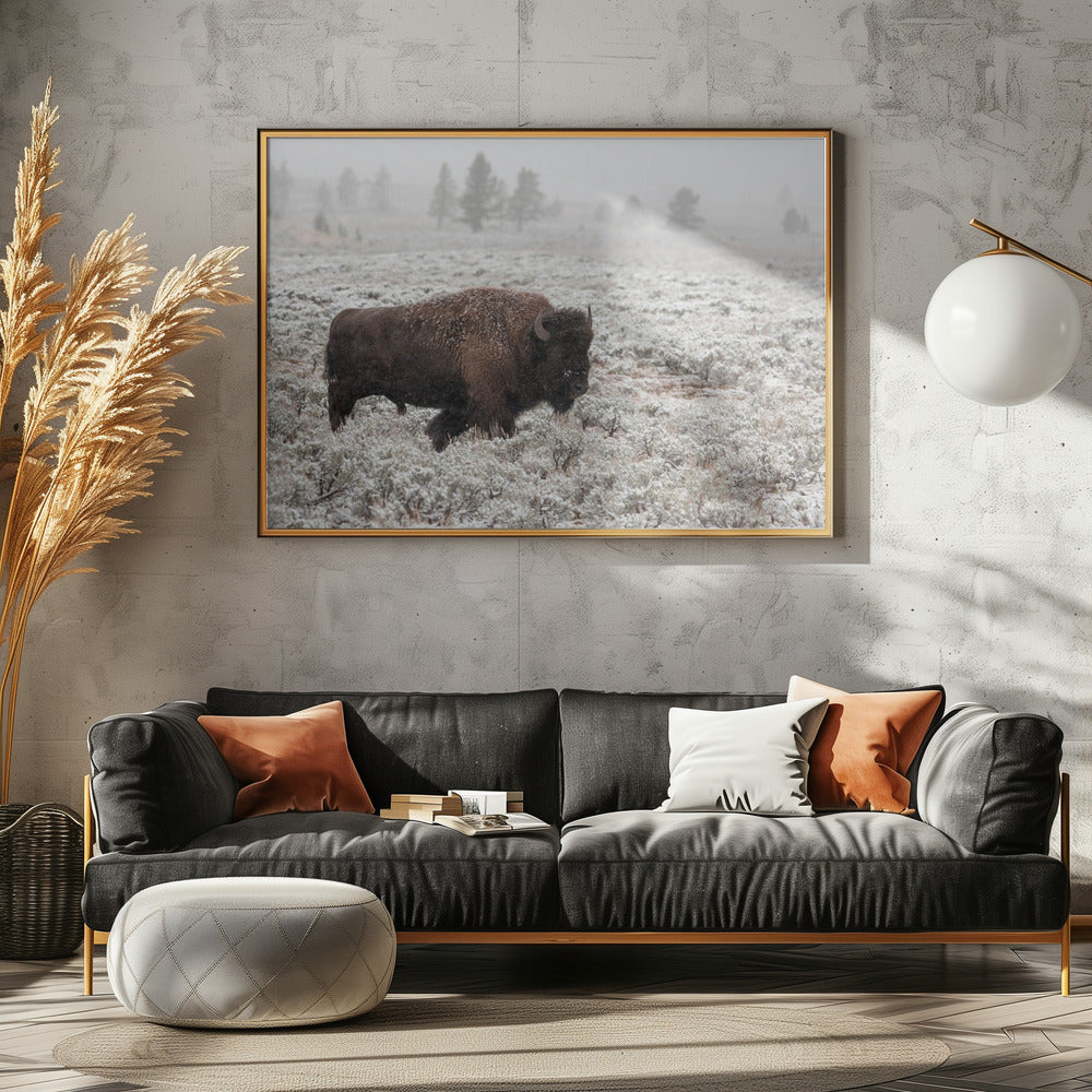Yellowstone in de late herfst | Poster