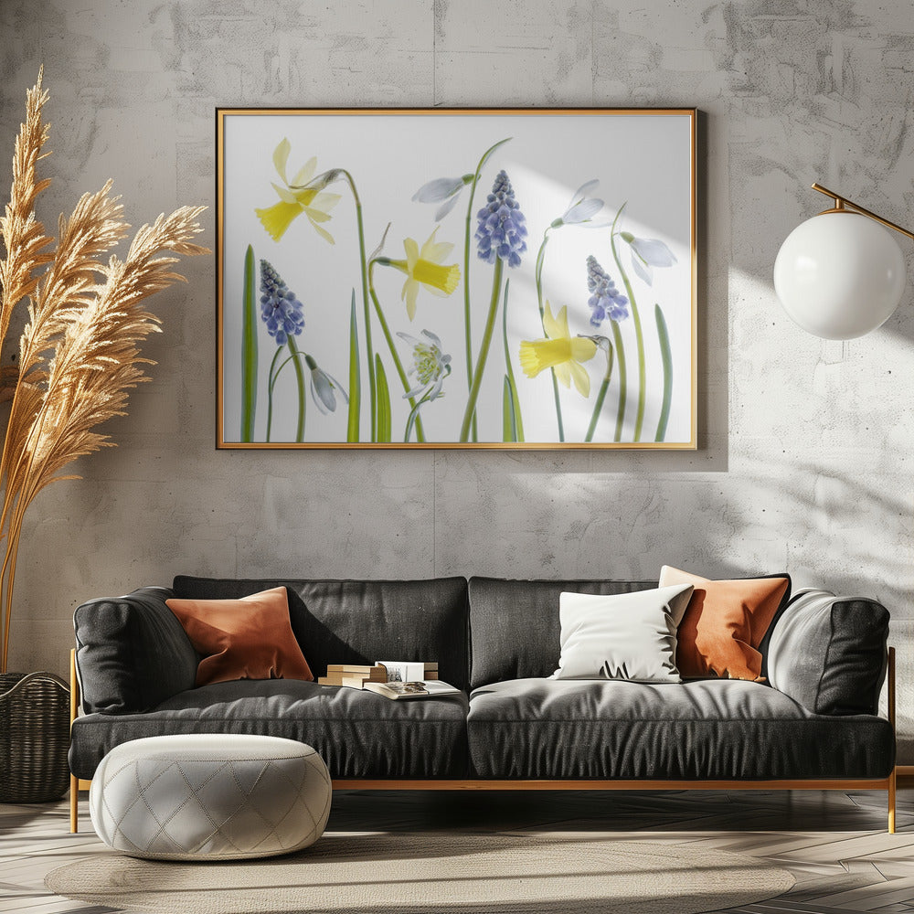Lente | Canvas