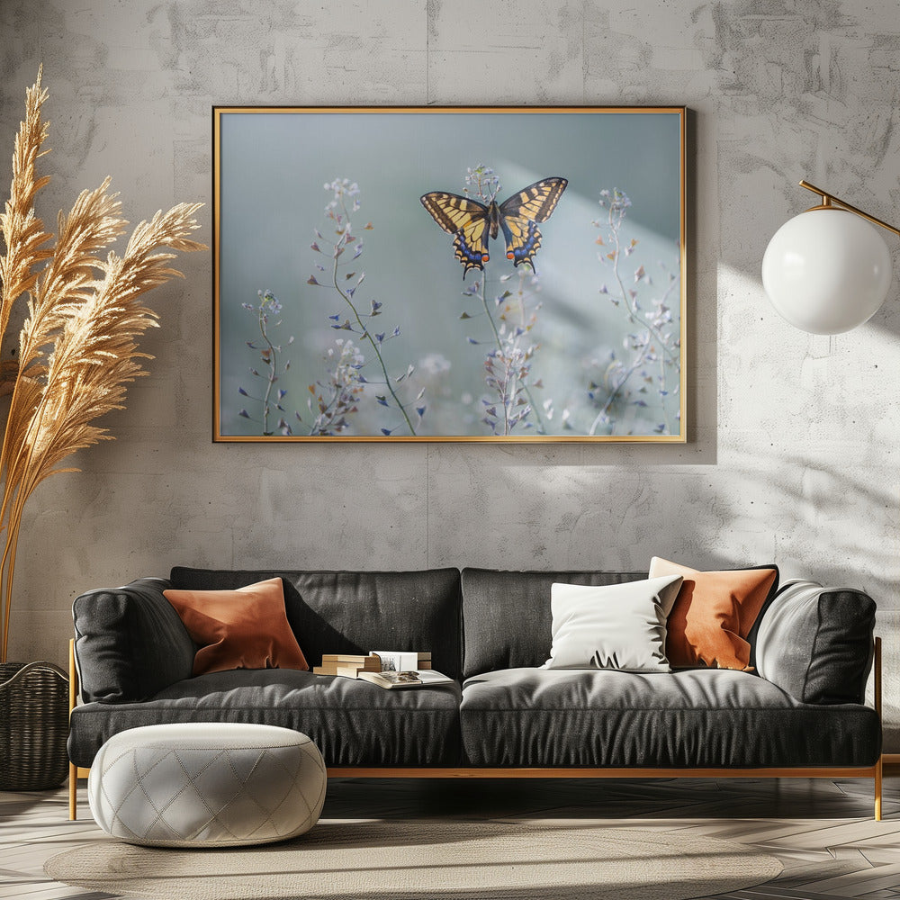 Zwaluwstaartschoonheid | Canvas