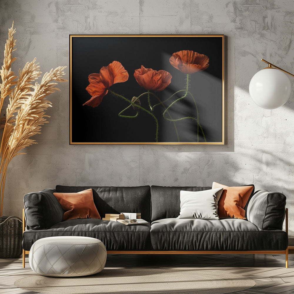 Rond middernacht #2 | Canvas