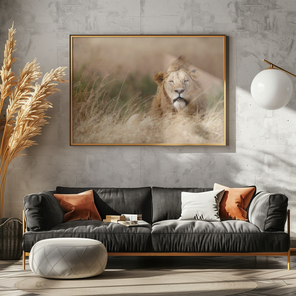 Knap! | Canvas