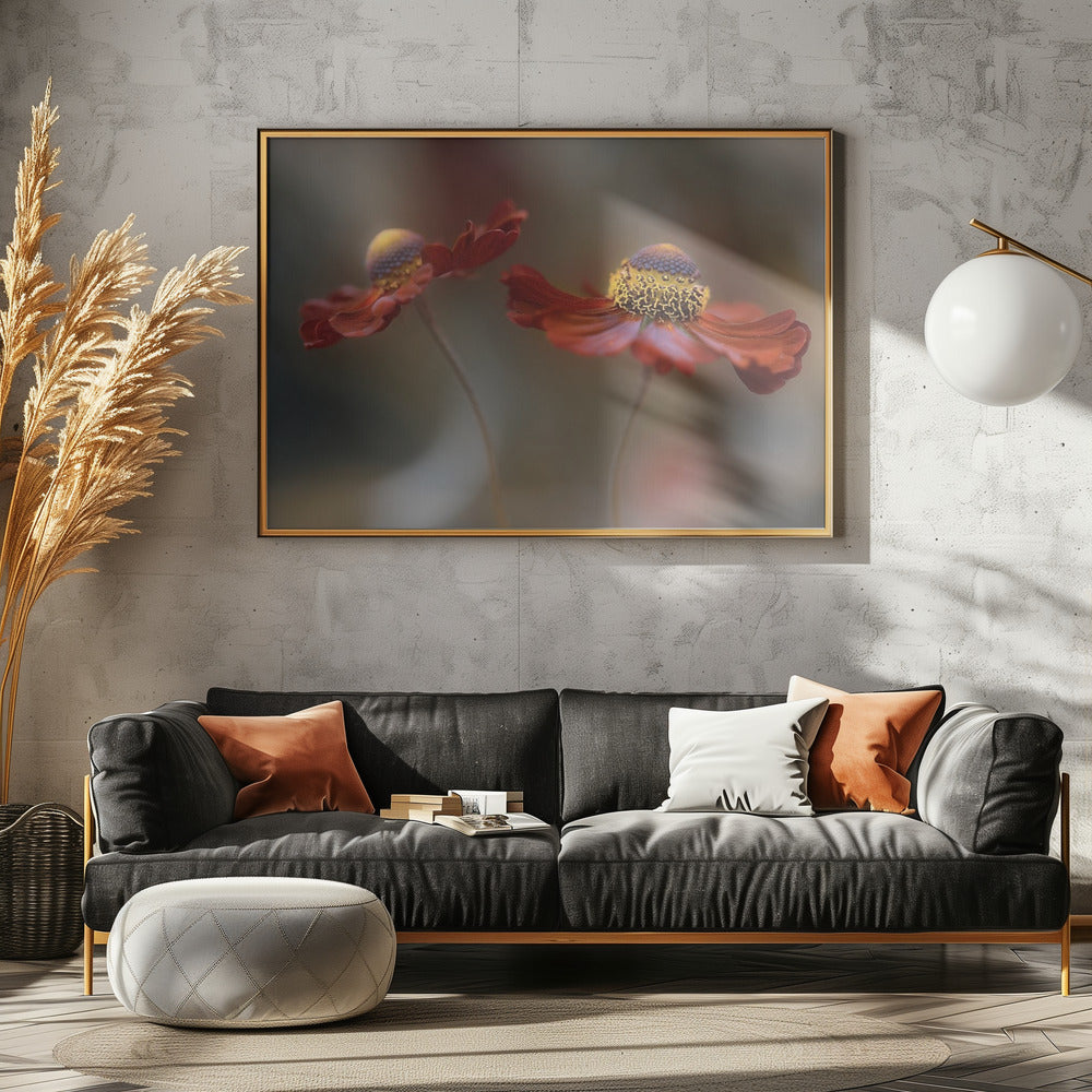 Helenium dans | Canvas