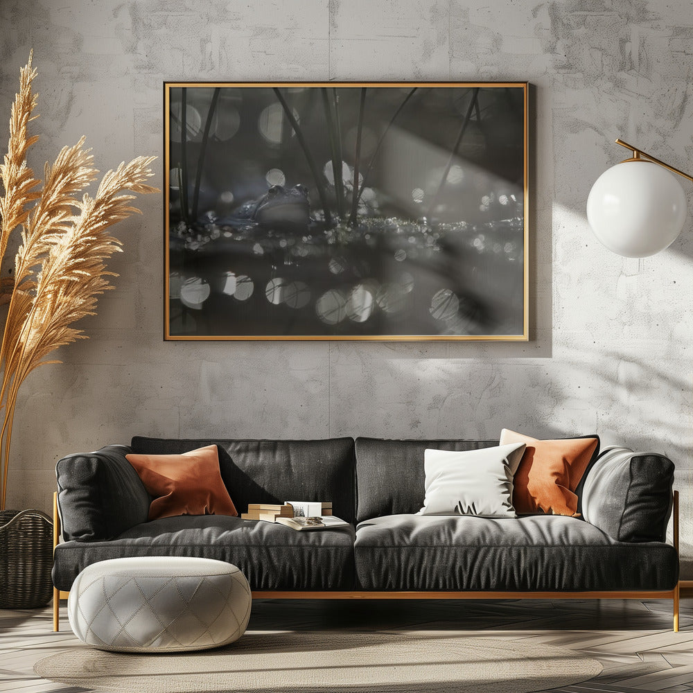 Moor frog | Canvas