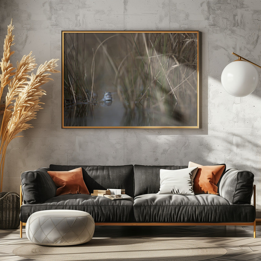 Two frogs | Canvas
