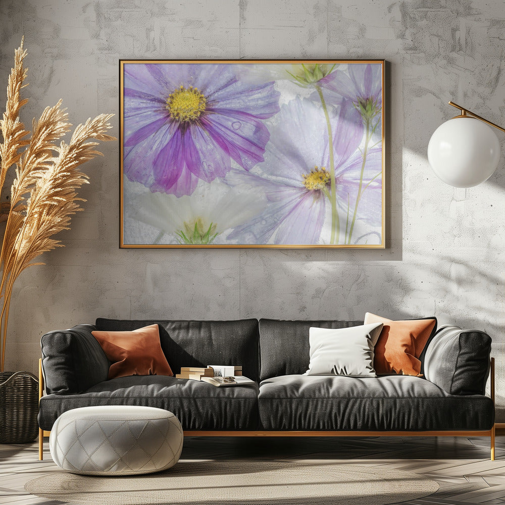 Kosmos cool | Canvas