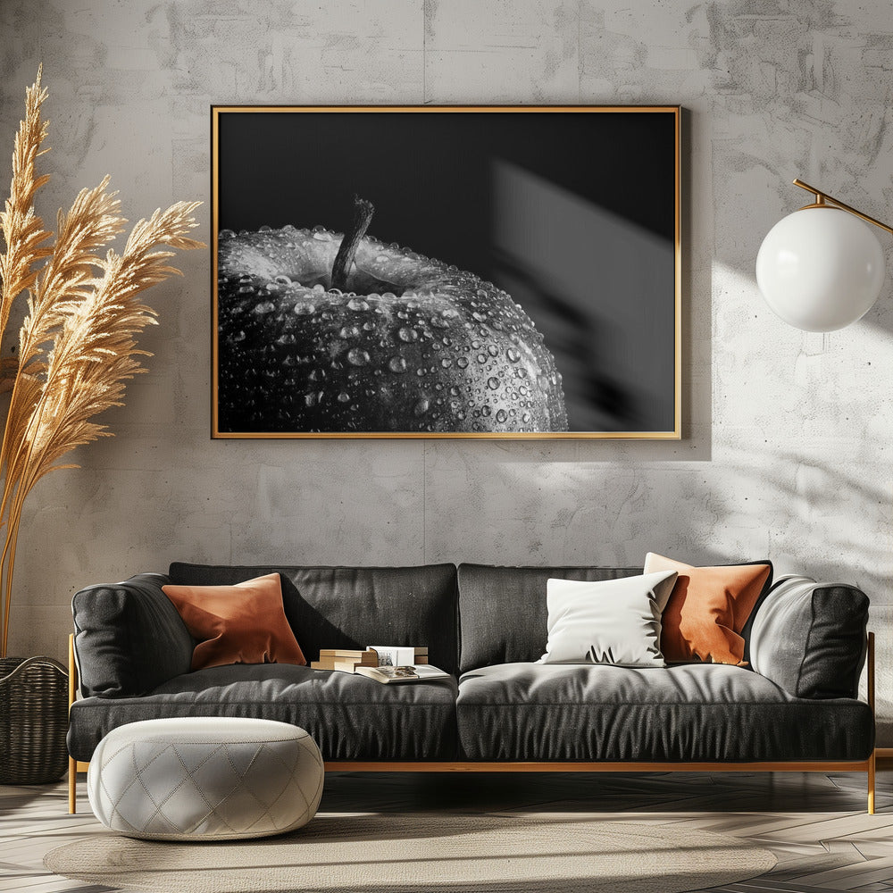 appel | Canvas