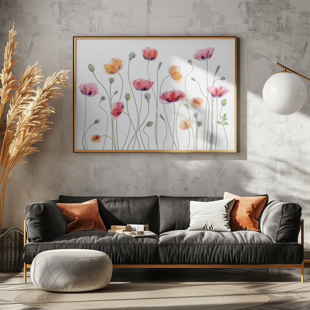 Papaverfeest | Canvas