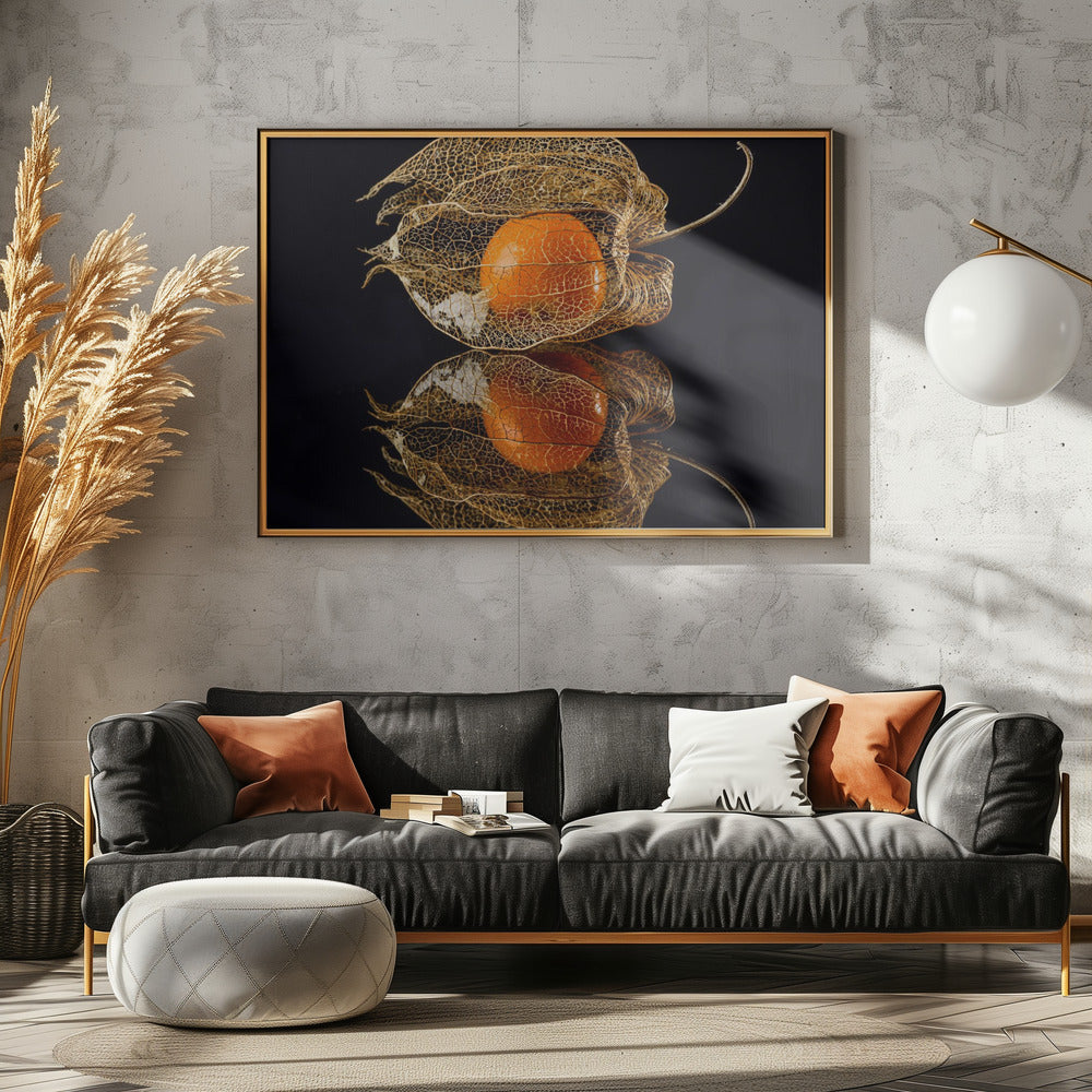 Physalis | Canvas