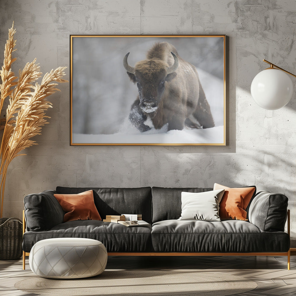 Verwilderd | Canvas