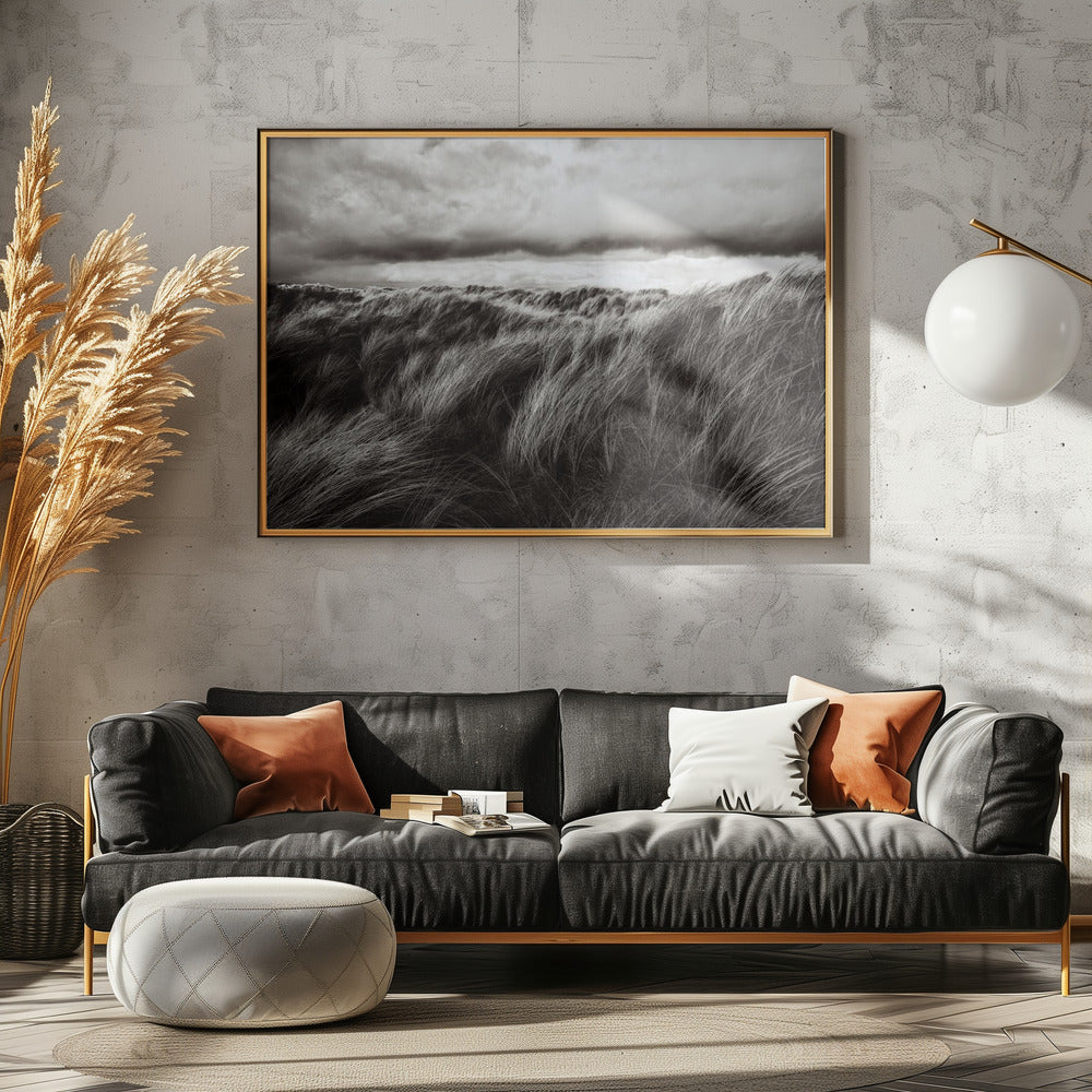Duinen van gras | Poster