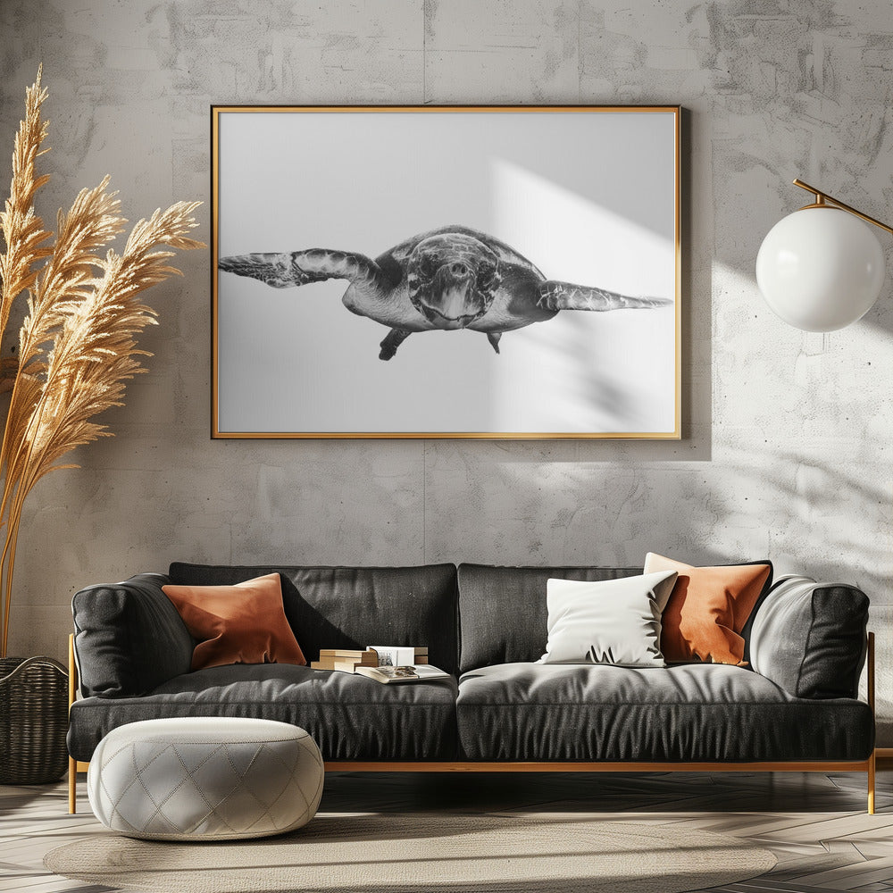 Wit en schildpad | Canvas