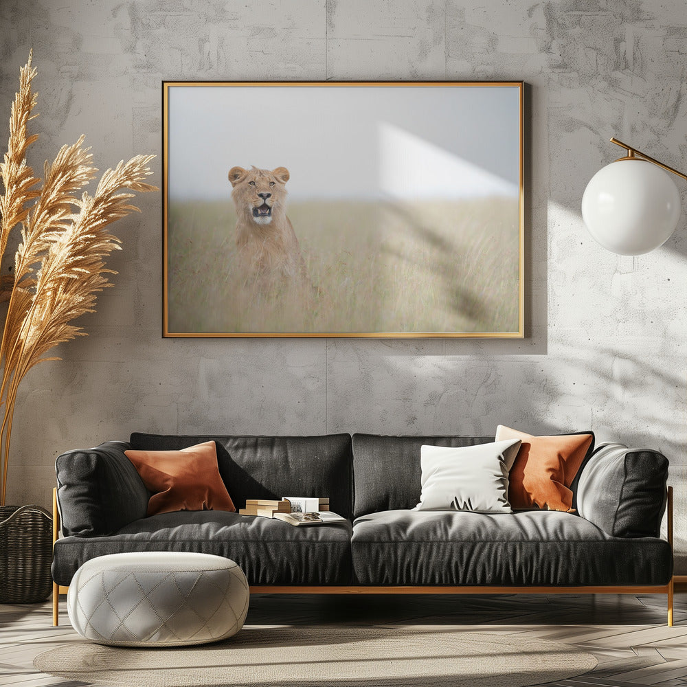 Jonge Leeuw | Poster
