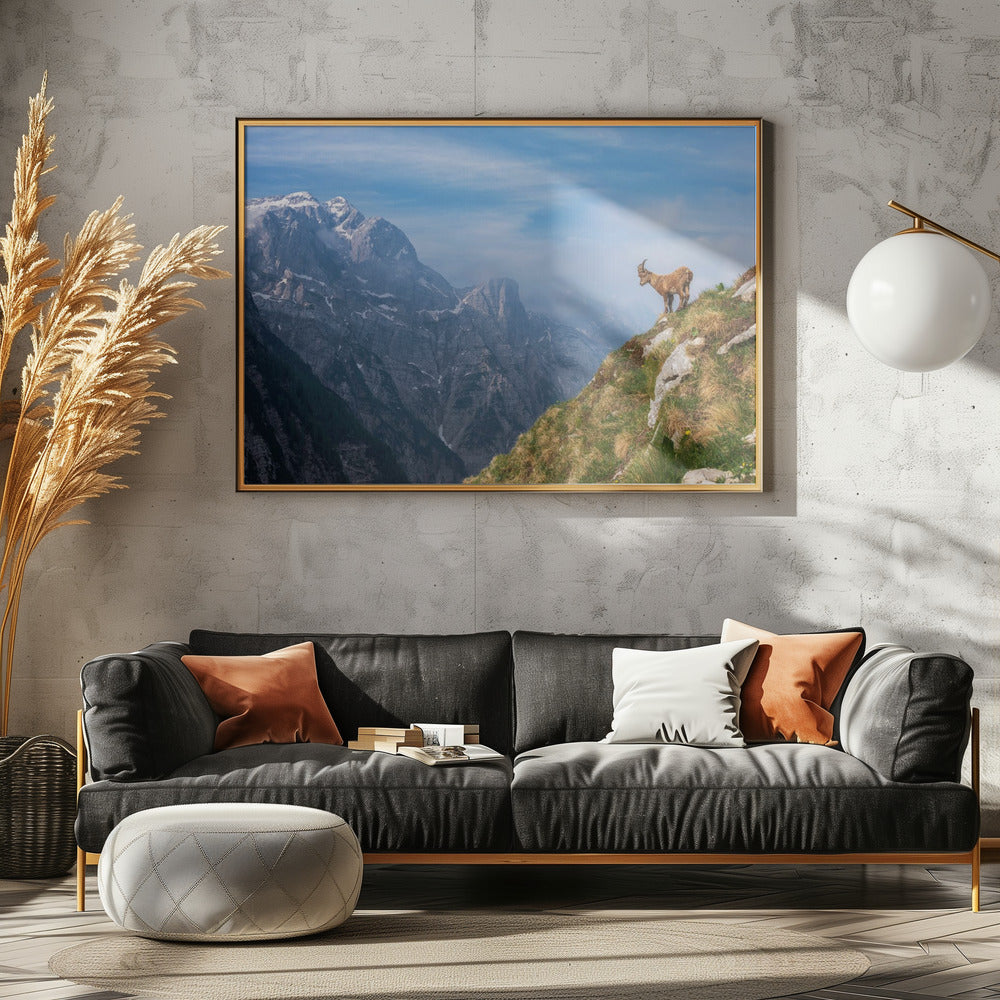 Alpensteenbok in de bergen | Canvas