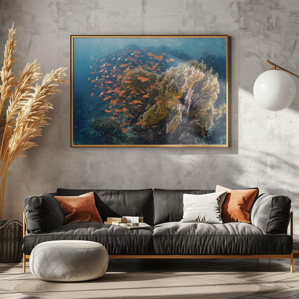 Reefscape | Poster