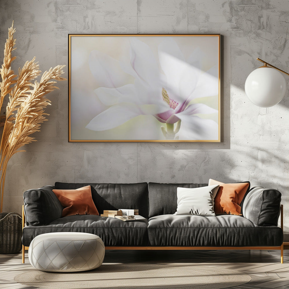 Zuiverheid | Canvas