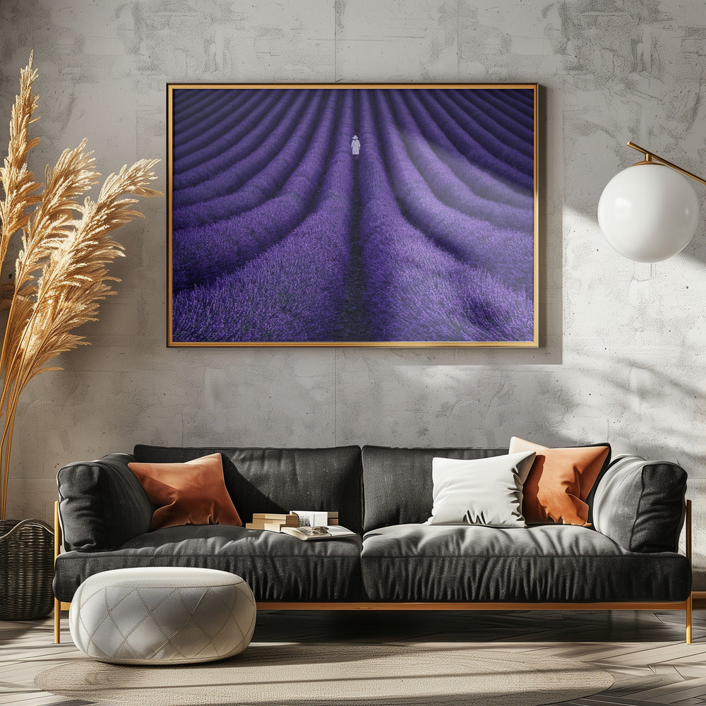 ZIJ | Canvas