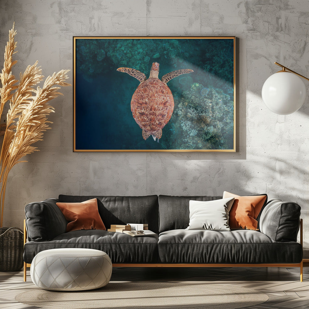 Vliegen over het rif | Canvas