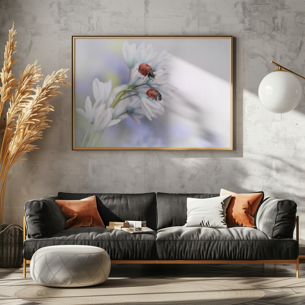 Lieveheersbeestjes | Canvas