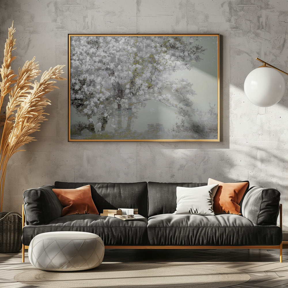 Lente | Canvas