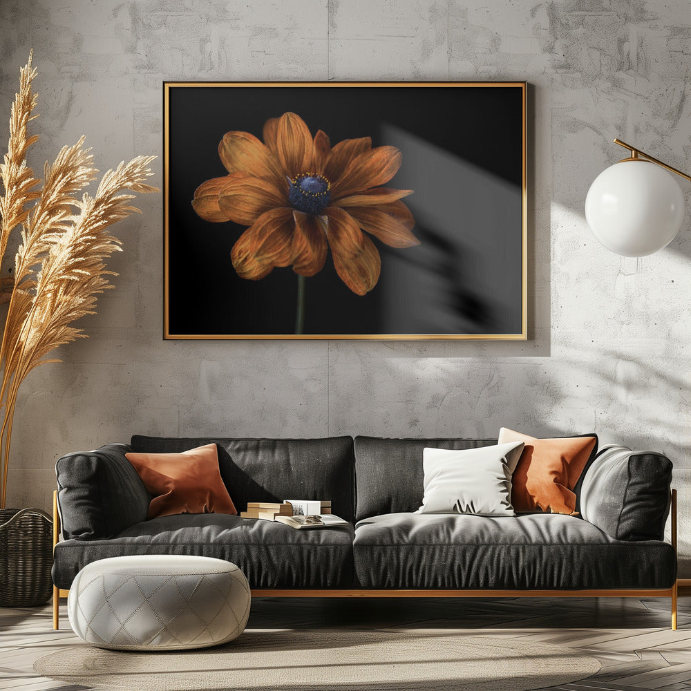 Rudbeckia | Canvas