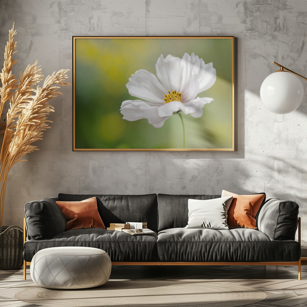 Cosmos | Canvas