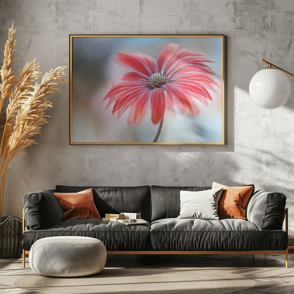 Kaapse Madelief* | Canvas