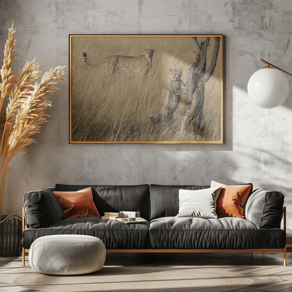 Ik heb het, mam | Poster