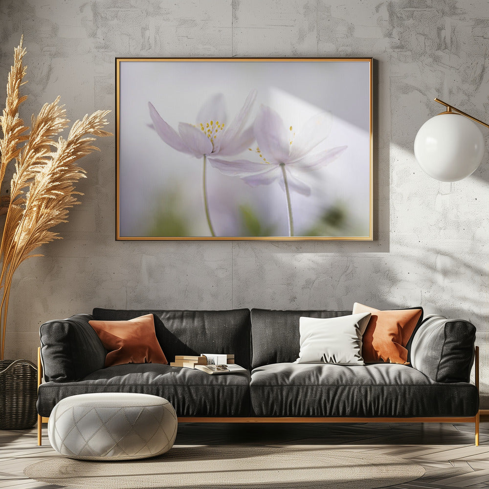 ~Nemorosa~ | Canvas