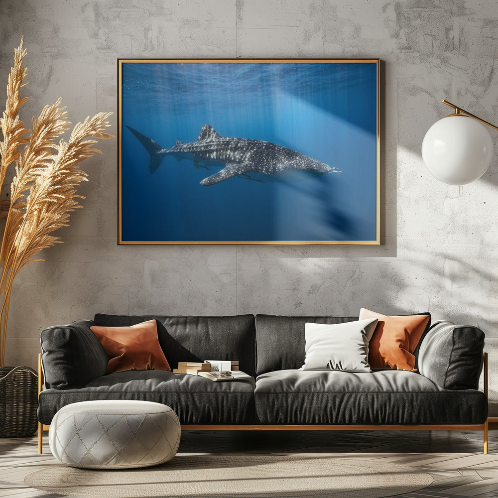 Walvishaai in het blauw | Canvas