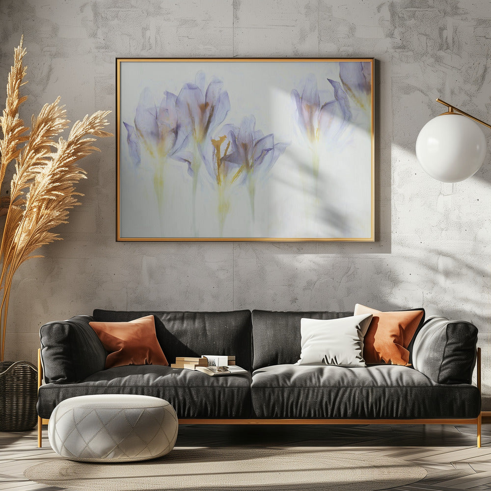 Lente | Canvas