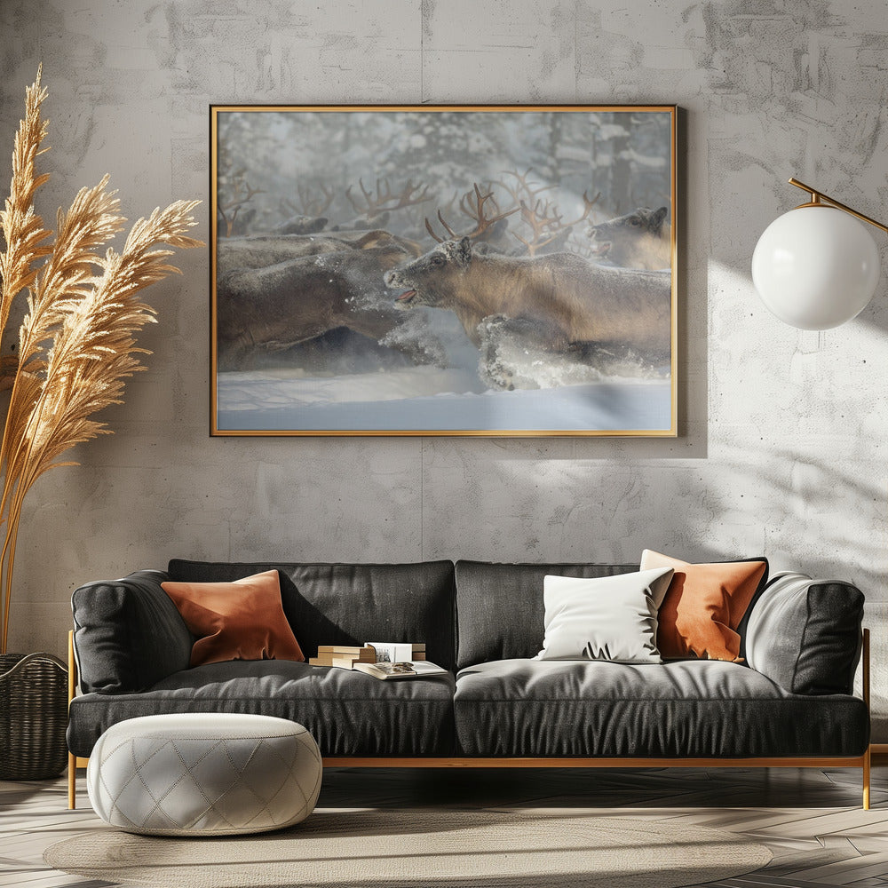 Rendieren III | Poster