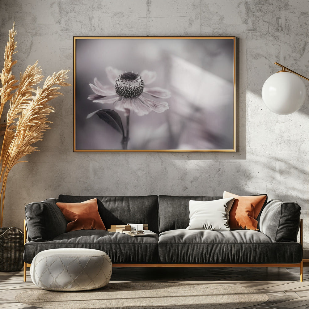 Helenium | Canvas
