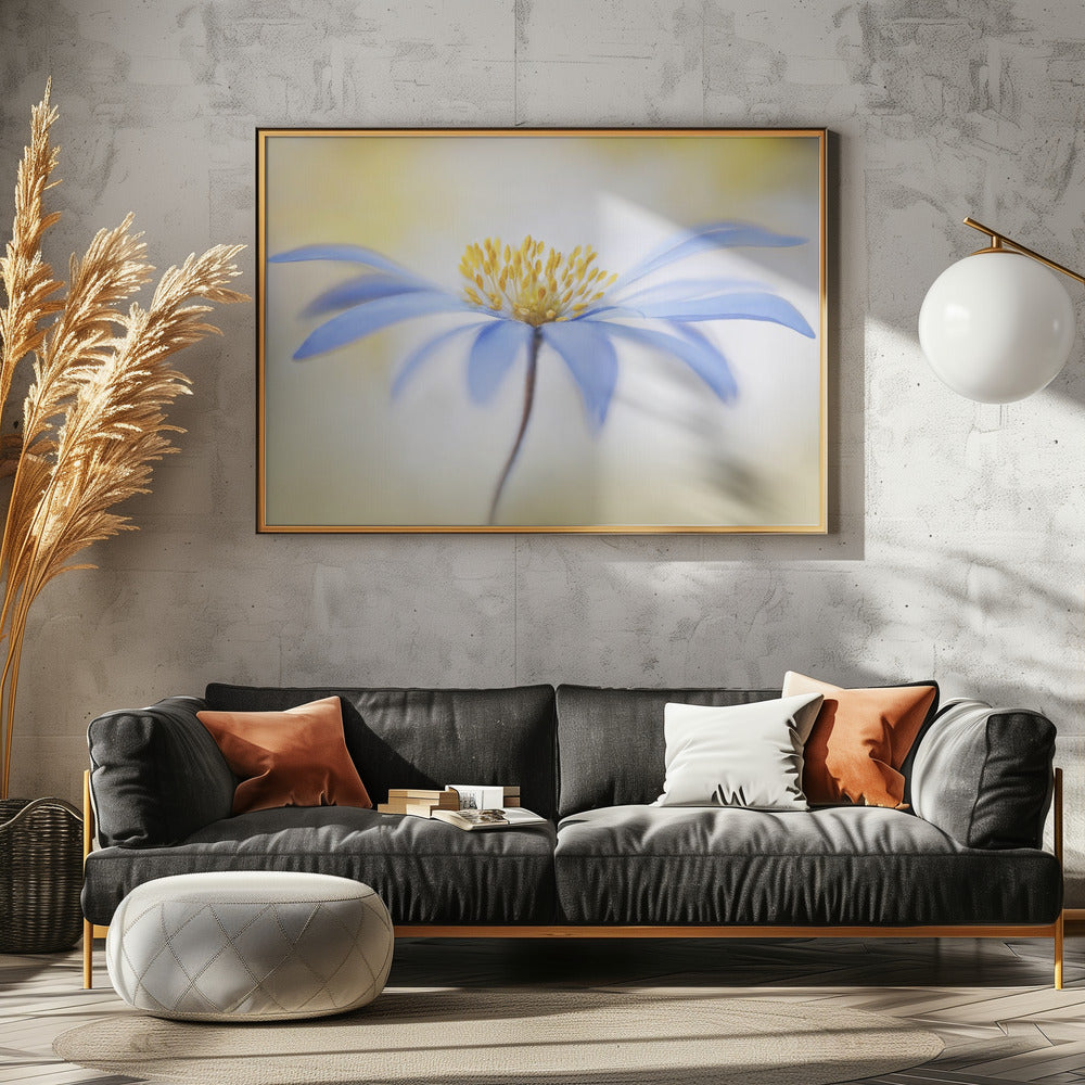 Anemoon | Canvas