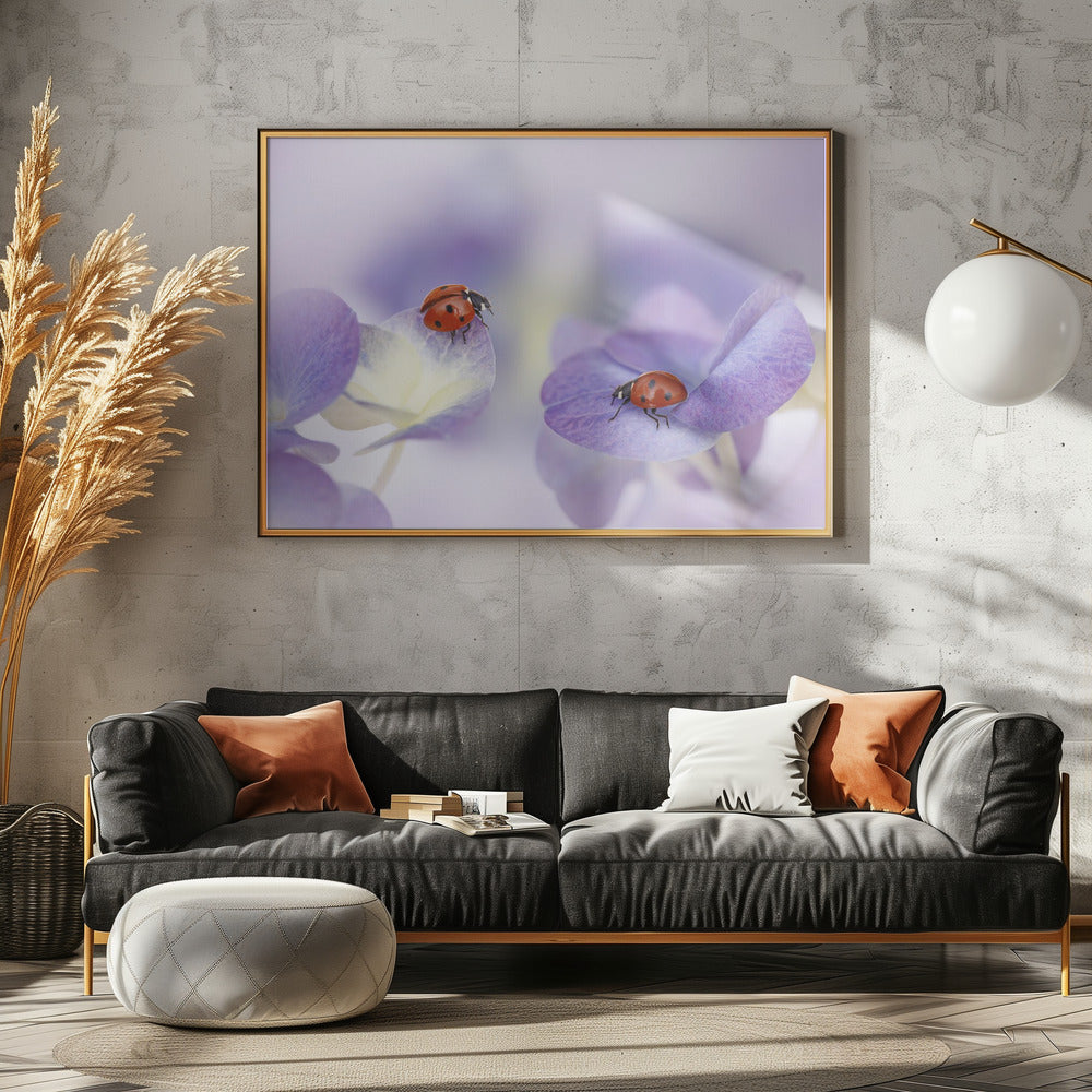 Rood en paars | Canvas