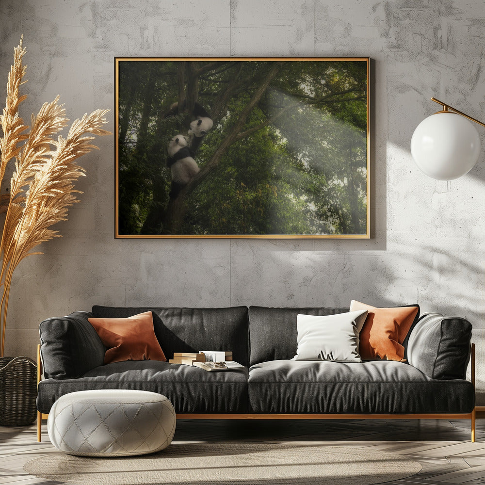 Panda | Canvas
