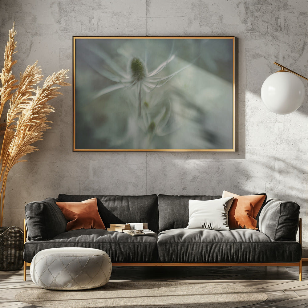 Kaardebol | Canvas