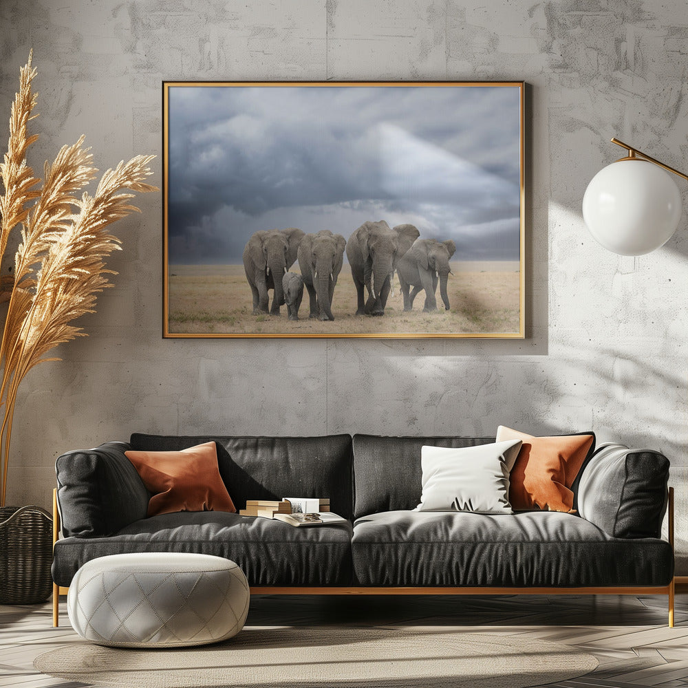 Olifantenwandeling | Poster