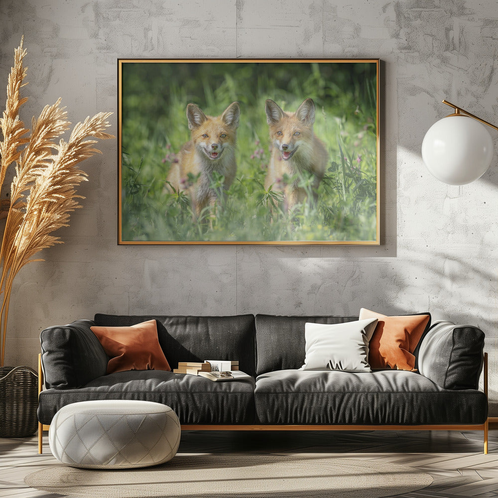 Broers | Poster