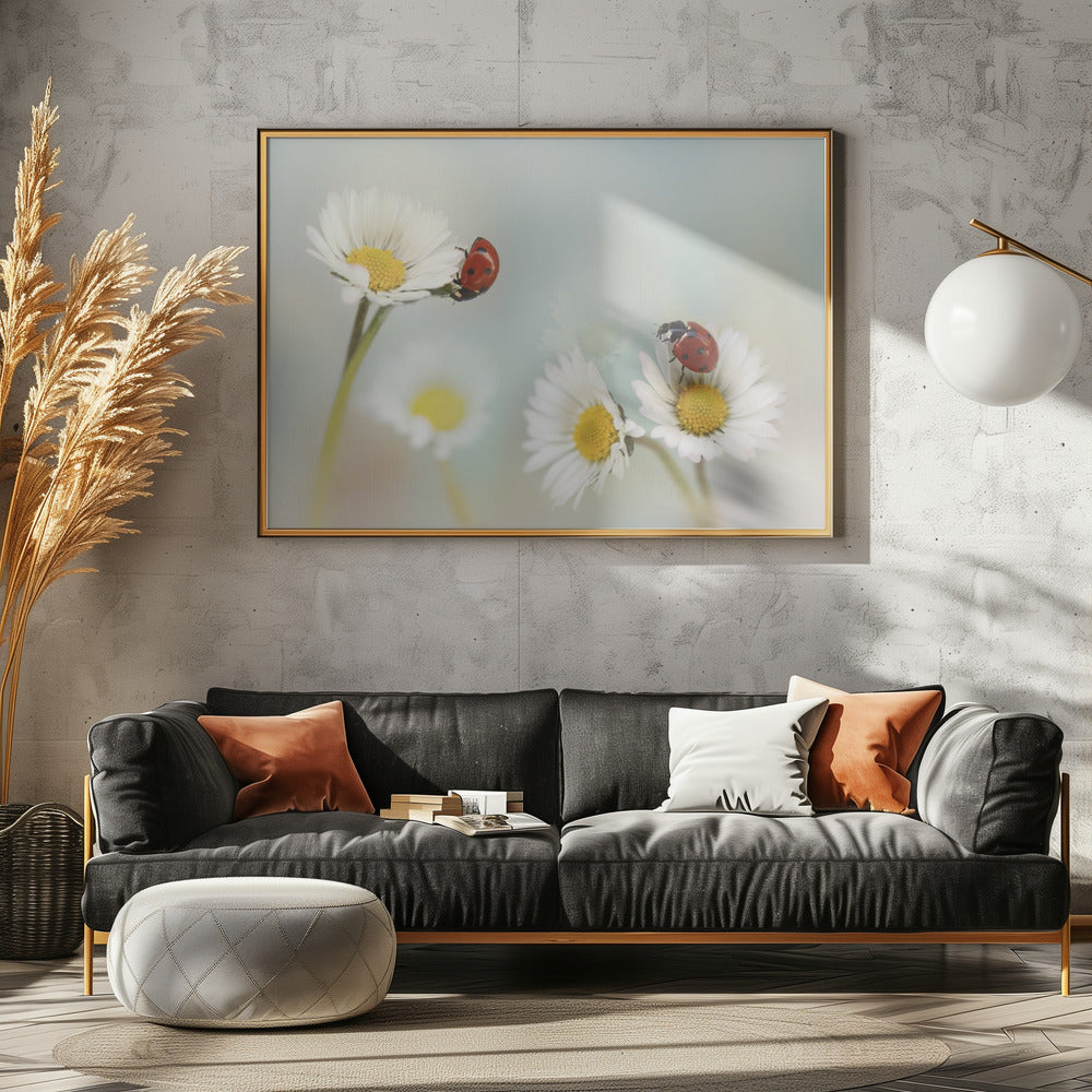 Lente.... | Poster