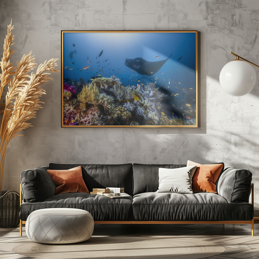 Manta-rif op het rif | Poster